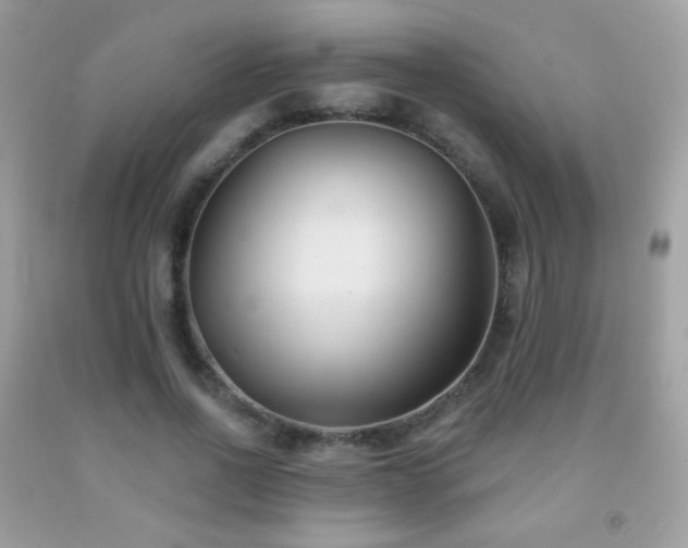 X0000091850734200709051146