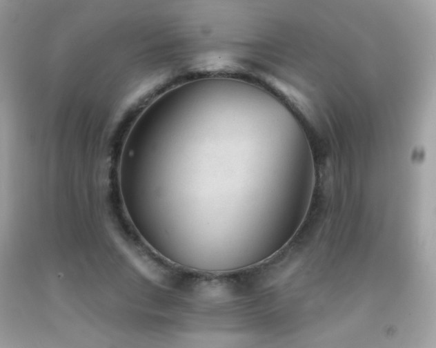 X0000091850735200709051146