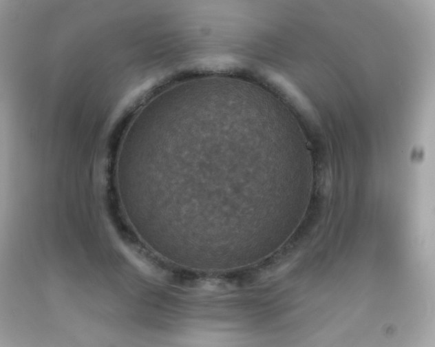 X0000091850736200709051146