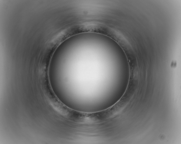 X0000091850737200709051146