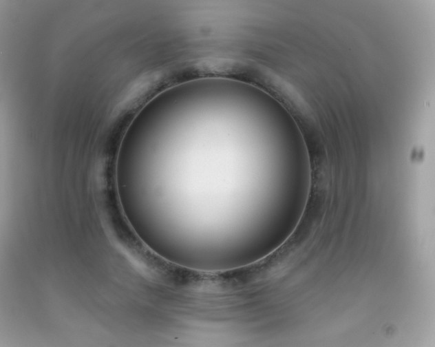 X0000091850738200709051146