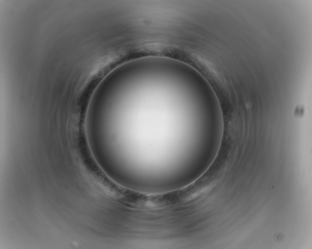 X0000091850739200709051146