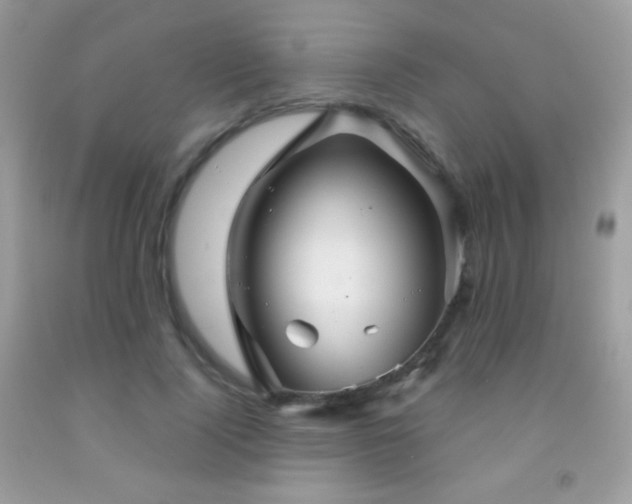 X0000091850740200709051146