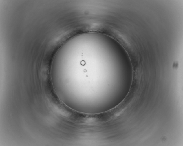 X0000091850741200709051146