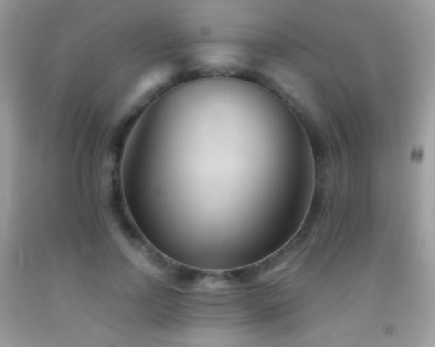 X0000091850742200709051146