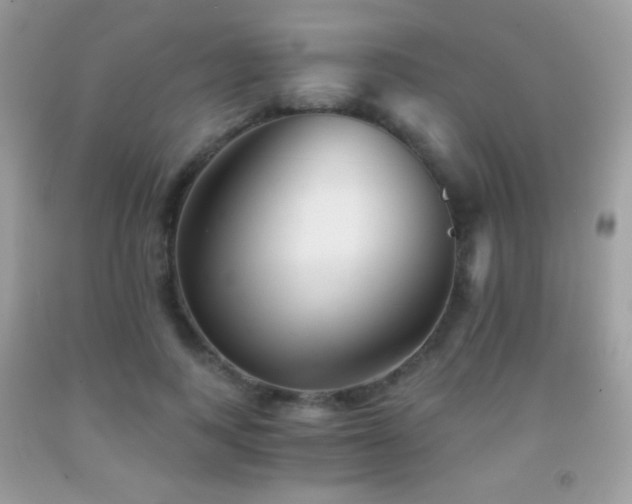 X0000091850743200709051146