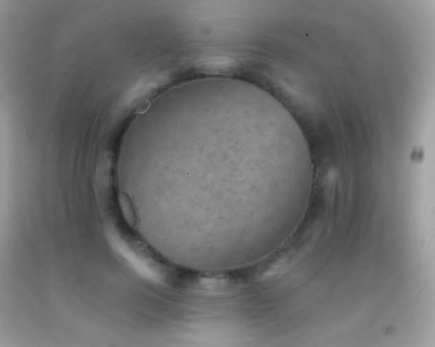 X0000091850744200709051146