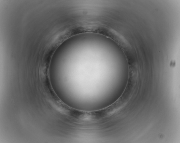 X0000091850745200709051146