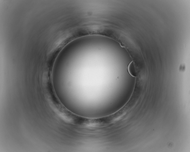 X0000091850746200709051146