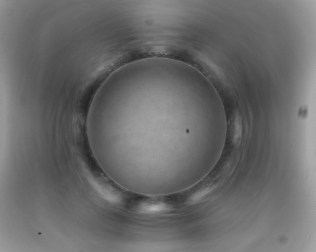 X0000091850747200709051146