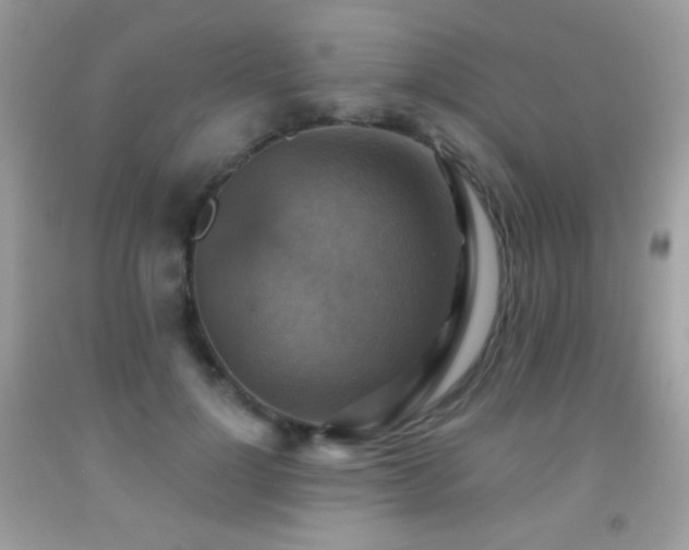 X0000091850748200709051146
