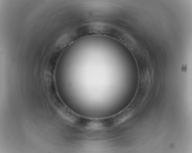 X0000091850749200709051146