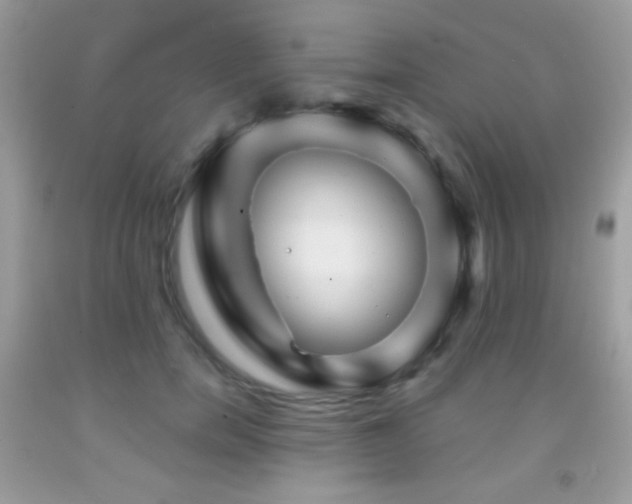X0000091850750200709051146