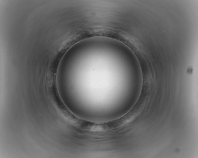 X0000091850751200709051146