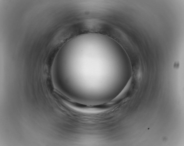 X0000091850752200709051146