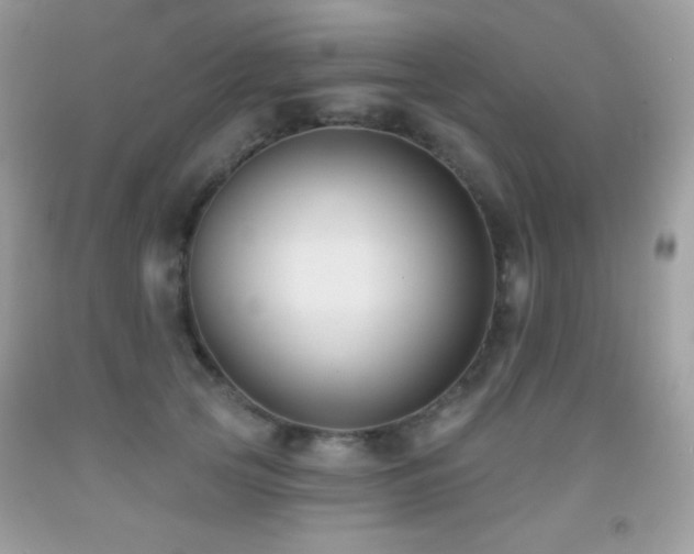 X0000091850753200709051146