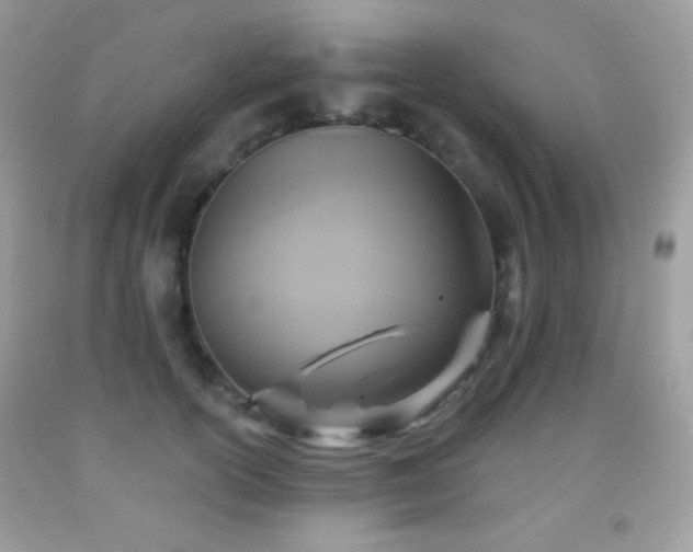 X0000091850754200709051146