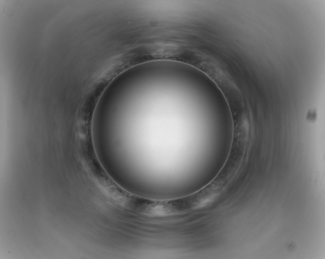 X0000091850755200709051146