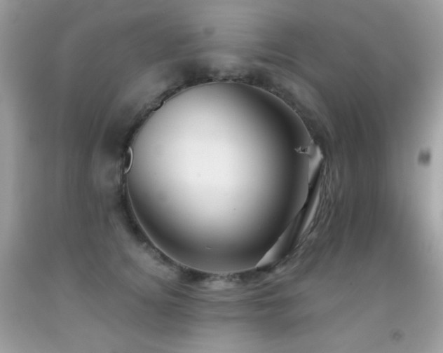 X0000091850756200709051146