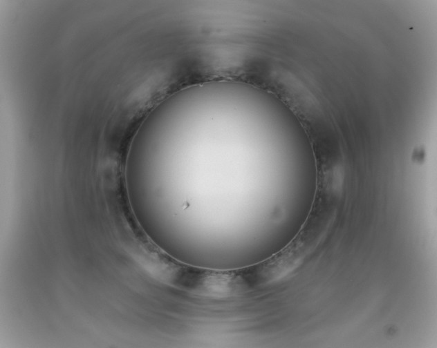 X0000091850757200709051146