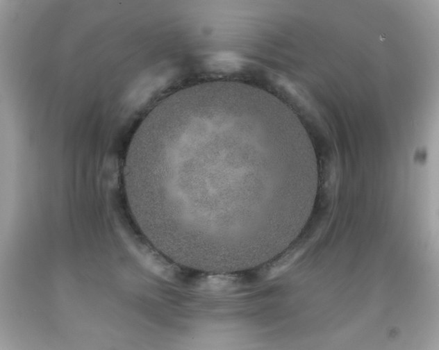X0000091850758200709051146