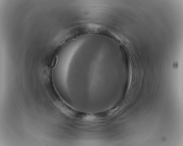 X0000091850759200709051146