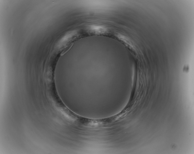 X0000091850760200709051146