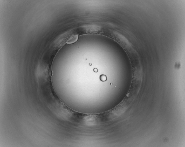 X0000091850761200709051146
