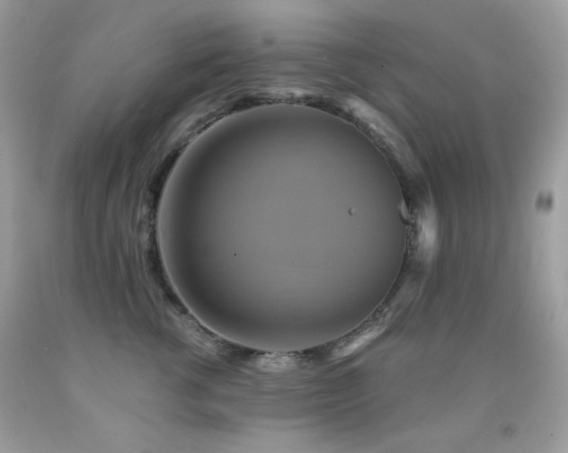 X0000091850762200709051146