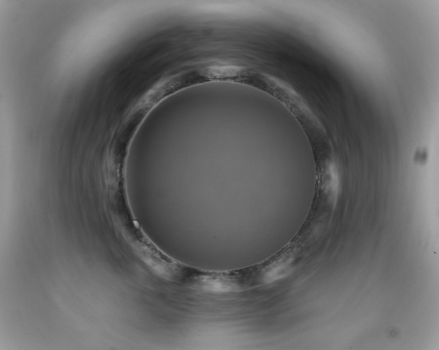 X0000091850763200709051146