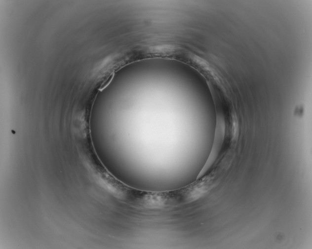 X0000091850764200709051146