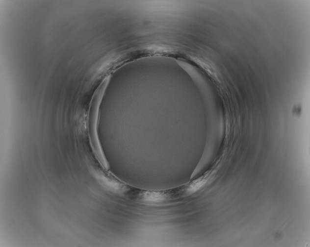 X0000091850766200709051146
