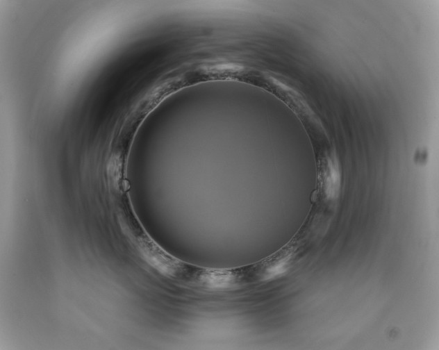 X0000091850767200709051146