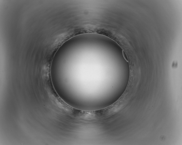 X0000091850768200709051146