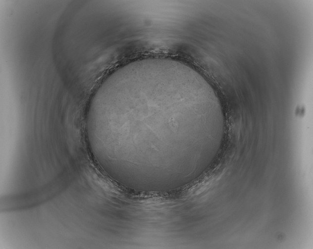 X0000091850769200709051146