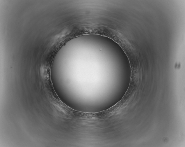 X0000091850770200709051146