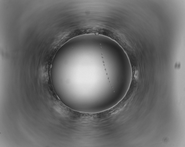 X0000091850771200709051146