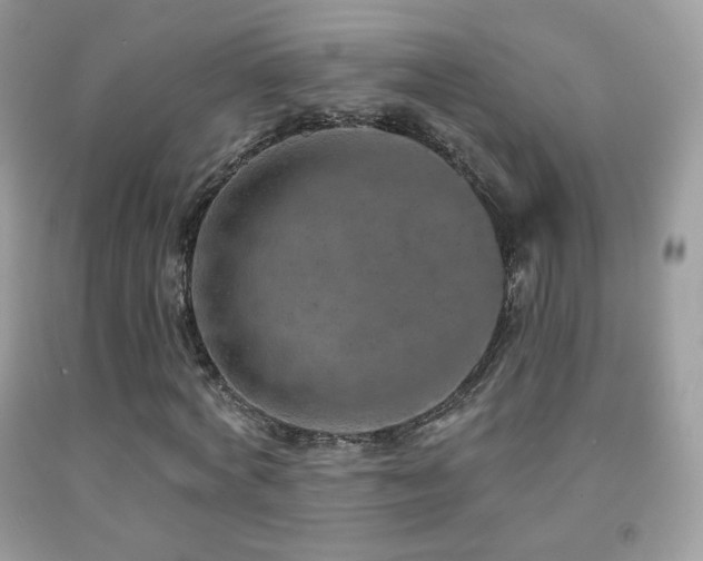 X0000091850772200709051146