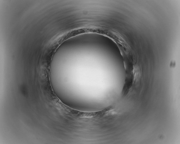 X0000091850773200709051146