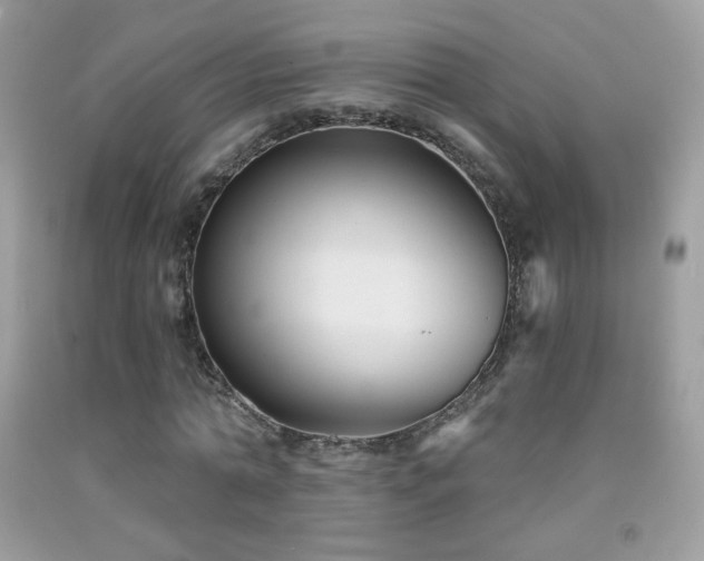X0000091850774200709051146