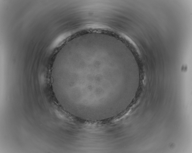 X0000091850775200709051146