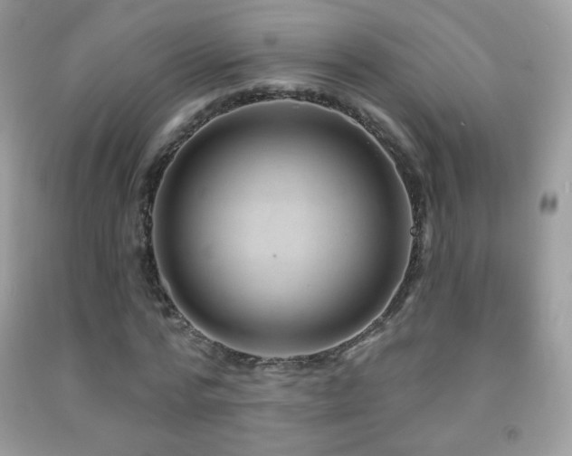 X0000091850776200709051146