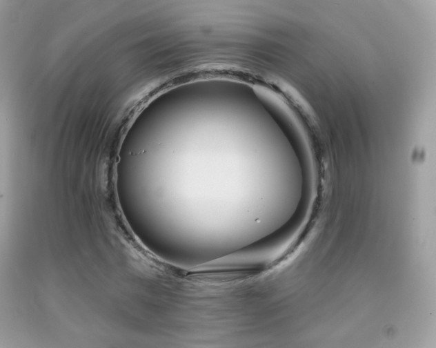 X0000091850777200709051146