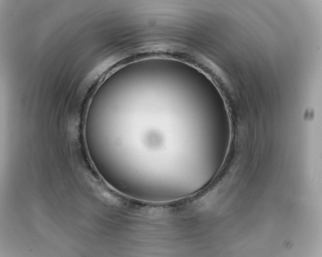 X0000091850778200709051146