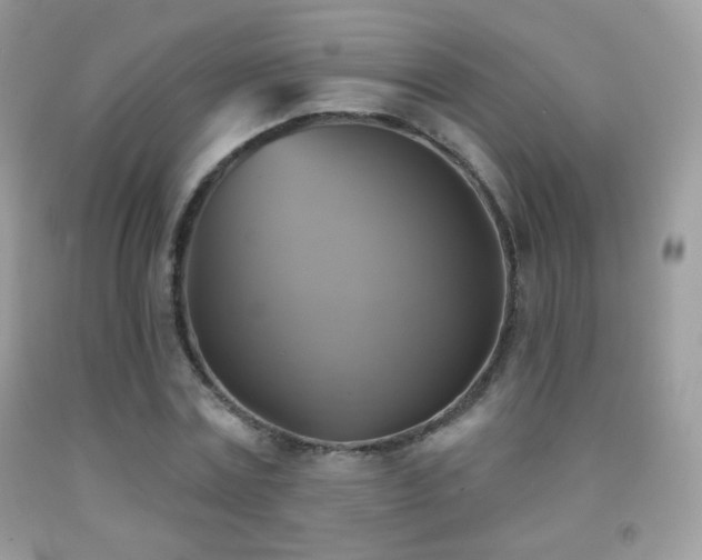 X0000091850779200709051145