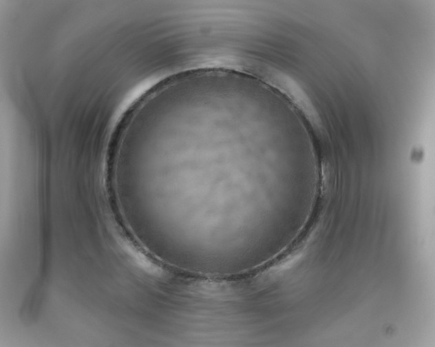 X0000091850780200709051145