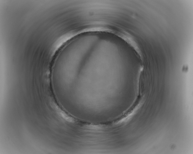 X0000091850781200709051145