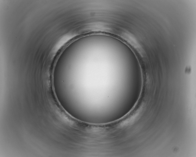 X0000091850782200709051145