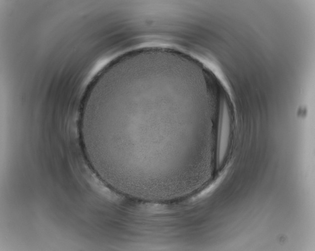 X0000091850783200709051145