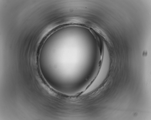 X0000091850784200709051145